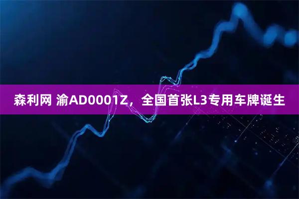 森利网 渝AD0001Z，全国首张L3专用车牌诞生